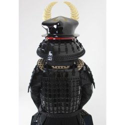 画像8: 8【Y-050】徳川家康 