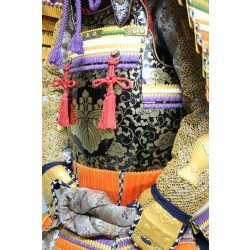 画像6: 17【O-025】色々威胸取仏二枚胴具足 