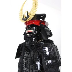 画像9: 8【Y-050】徳川家康 