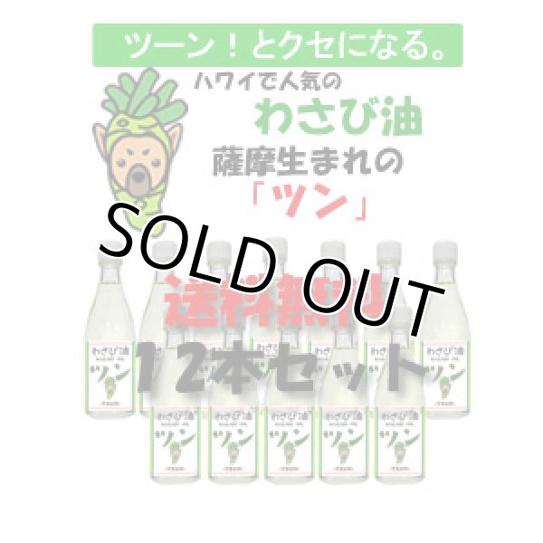 画像1: 【送料無料】薩摩 わさび油 ツン-TSUN-/100g×12本セット【常温】 (1)