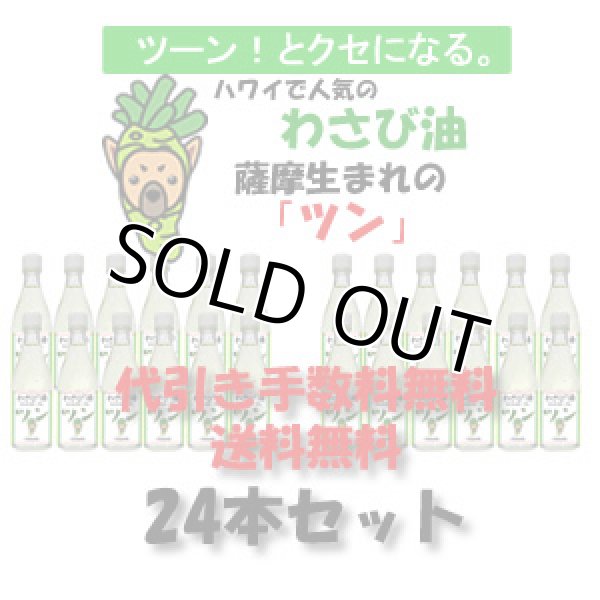 画像1: 【送料・代引き手数料無料】薩摩 わさび油 ツン-TSUN-/100g×24本セット【常温】 (1)